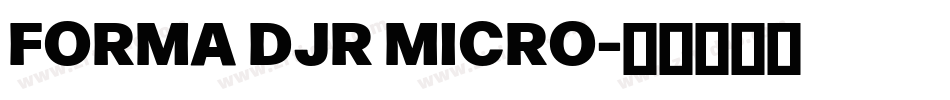 FORMA DJR MICRO字体转换